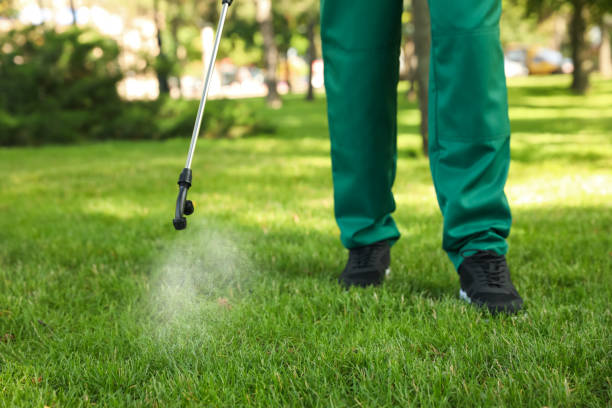 Best Ant Control Services  in Spring Green, WI