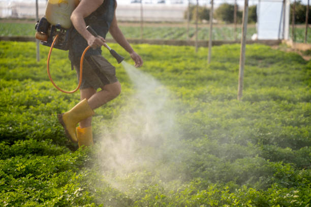 Best Pest Control Treatment  in Spring Green, WI