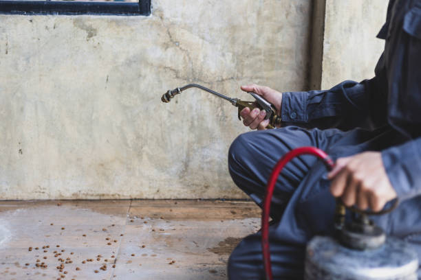 Best Emergency Pest Control  in Spring Green, WI